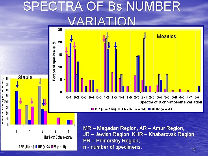SPECTRA OF Bs NUMBER VARIATION Mosaics Stable MR – Magadan Region, AR – Amur