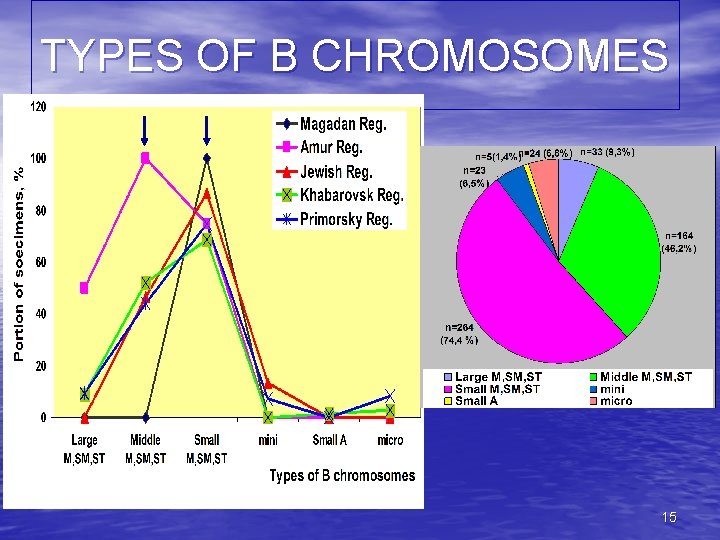 TYPES OF B CHROMOSOMES 15 