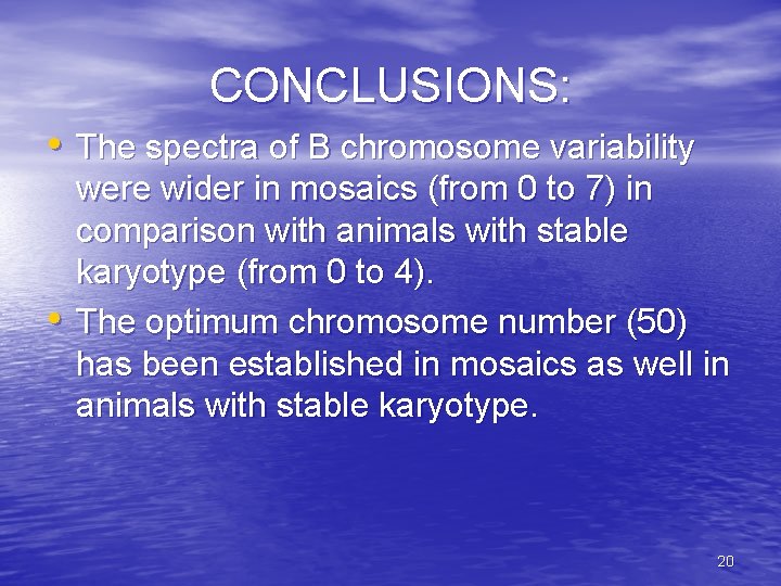 CONCLUSIONS: • The spectra of B chromosome variability • were wider in mosaics (from