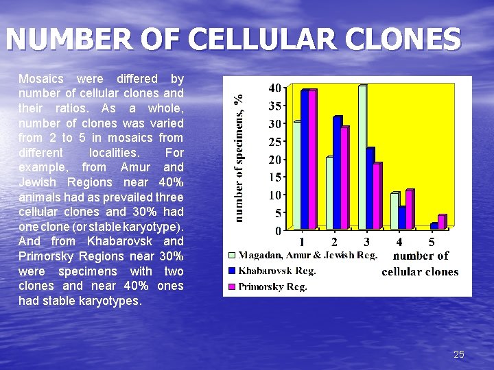 NUMBER OF CELLULAR CLONES Mosaics were differed by number of cellular clones and their