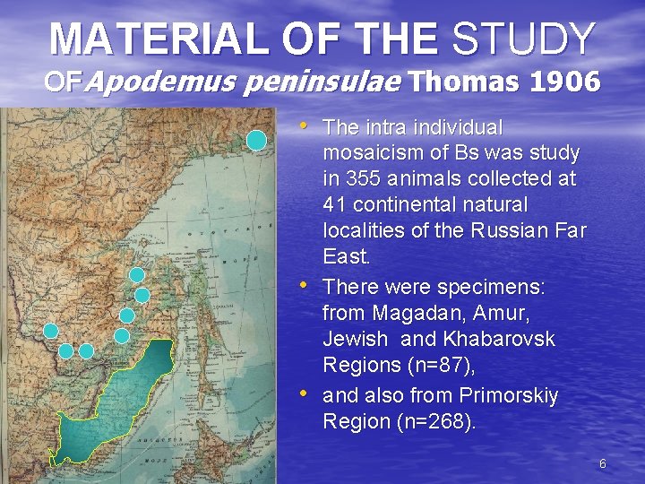 MATERIAL OF THE STUDY OFApodemus peninsulae Thomas 1906 • The intra individual • •