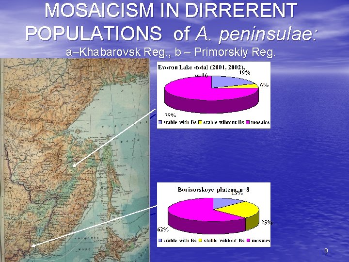 MOSAICISM IN DIRRERENT POPULATIONS of A. peninsulae: a–Khabarovsk Reg. , b – Primorskiy Reg.