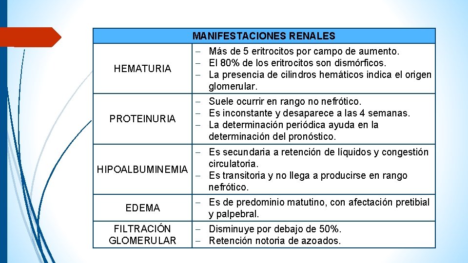 MANIFESTACIONES RENALES HEMATURIA PROTEINURIA ‒ Más de 5 eritrocitos por campo de aumento. ‒