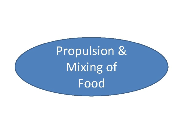 Propulsion & Mixing of Food 