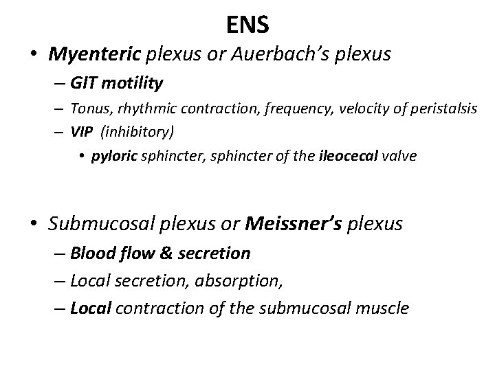 ENS • Myenteric plexus or Auerbach’s plexus – GIT motility – Tonus, rhythmic contraction,