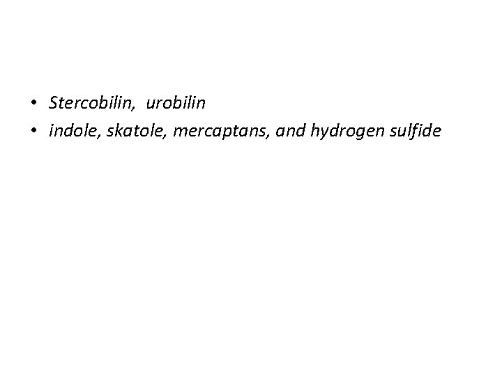  • Stercobilin, urobilin • indole, skatole, mercaptans, and hydrogen sulfide 
