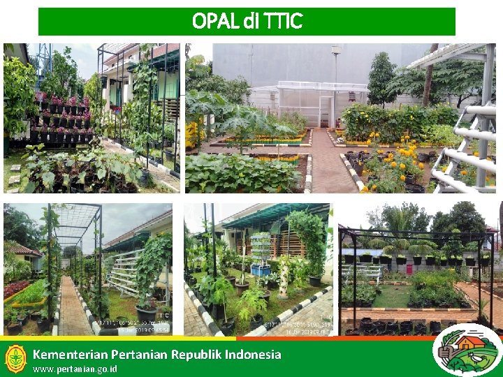 OPAL di TTIC 19 Kementerian Pertanian Republik Indonesia www. pertanian. go. id 19 