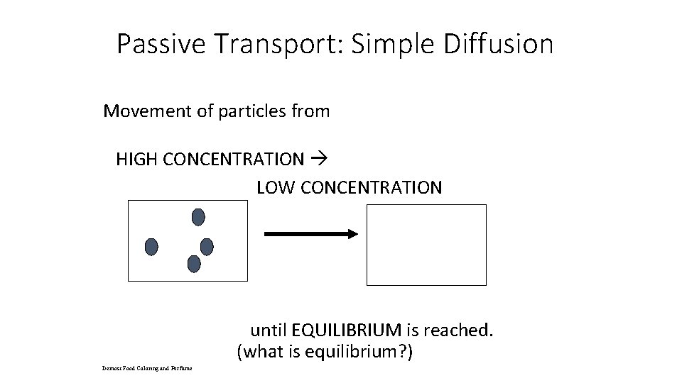 Passive Transport: Simple Diffusion Movement of particles from HIGH CONCENTRATION LOW CONCENTRATION until EQUILIBRIUM
