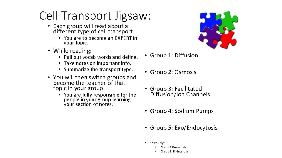 Cell Transport Jigsaw: • Each group will read about a different type of cell