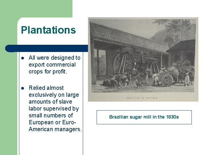 Plantations l All were designed to export commercial crops for profit. l Relied almost