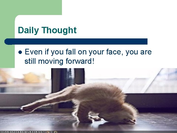 Daily Thought l Even if you fall on your face, you are still moving