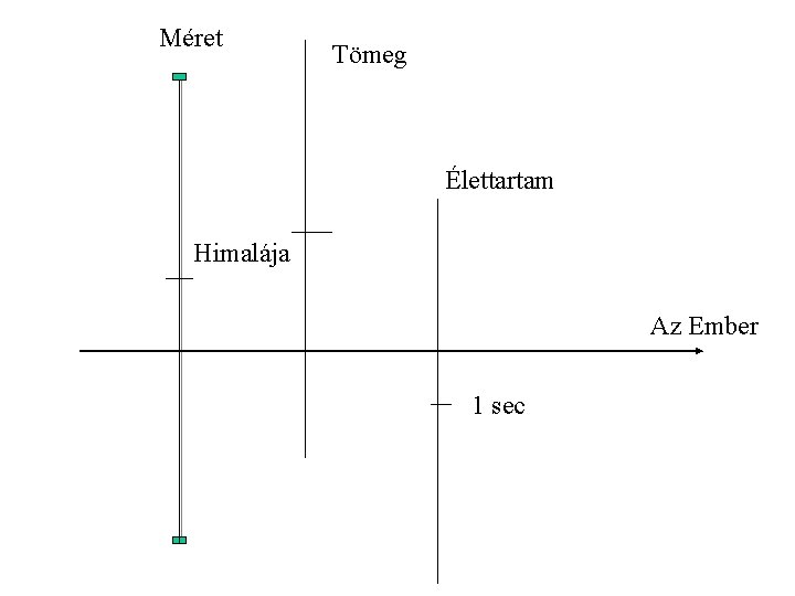 Méret Tömeg Élettartam Himalája Az Ember 1 sec 