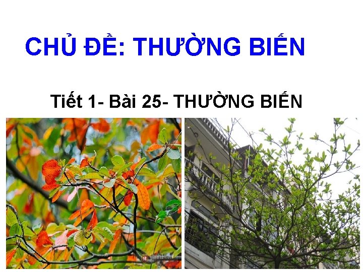 CHỦ ĐỀ: THƯỜNG BIẾN Tiết 1 - Bài 25 - THƯỜNG BIẾN 