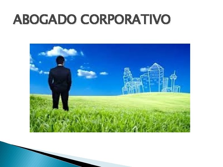 ABOGADO CORPORATIVO 