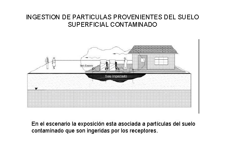 INGESTION DE PARTICULAS PROVENIENTES DEL SUELO SUPERFICIAL CONTAMINADO En el escenario la exposición esta