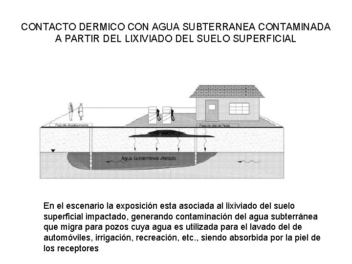 CONTACTO DERMICO CON AGUA SUBTERRANEA CONTAMINADA A PARTIR DEL LIXIVIADO DEL SUELO SUPERFICIAL En