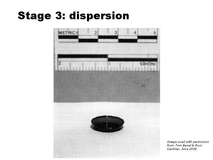Stage 3: dispersion Image used with permission from Tom Bevel & Ross Gardner, June