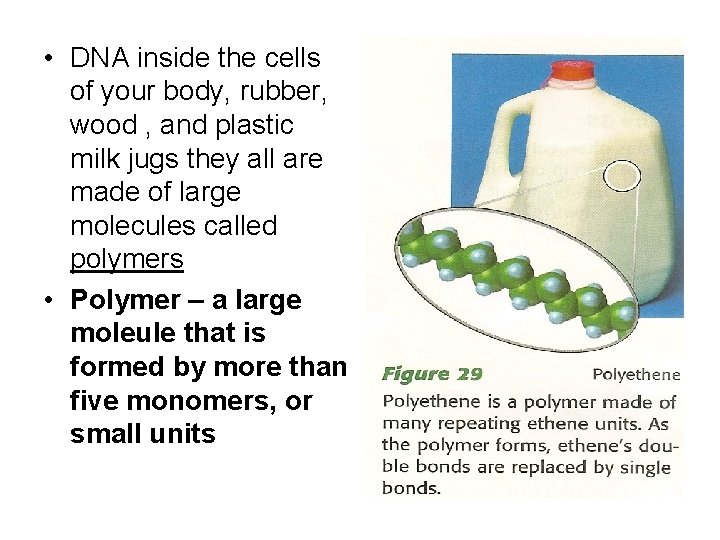  • DNA inside the cells of your body, rubber, wood , and plastic
