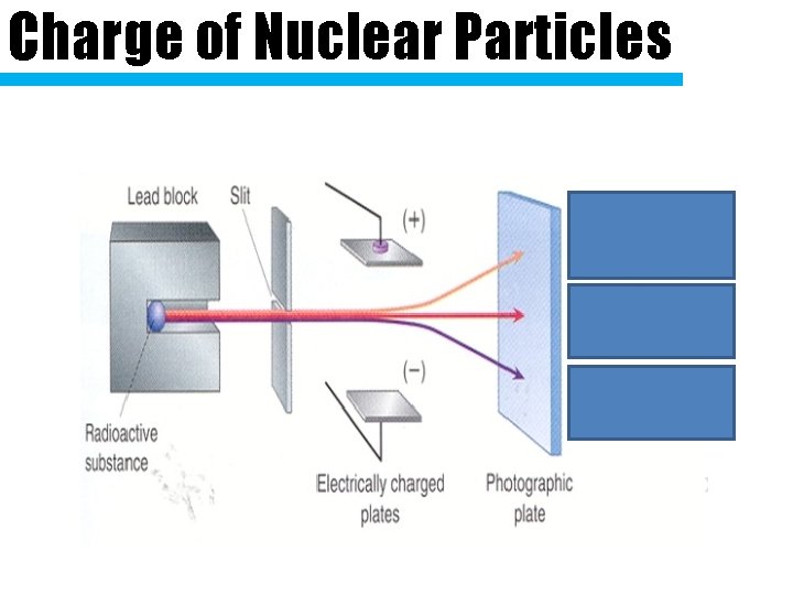 Charge of Nuclear Particles 