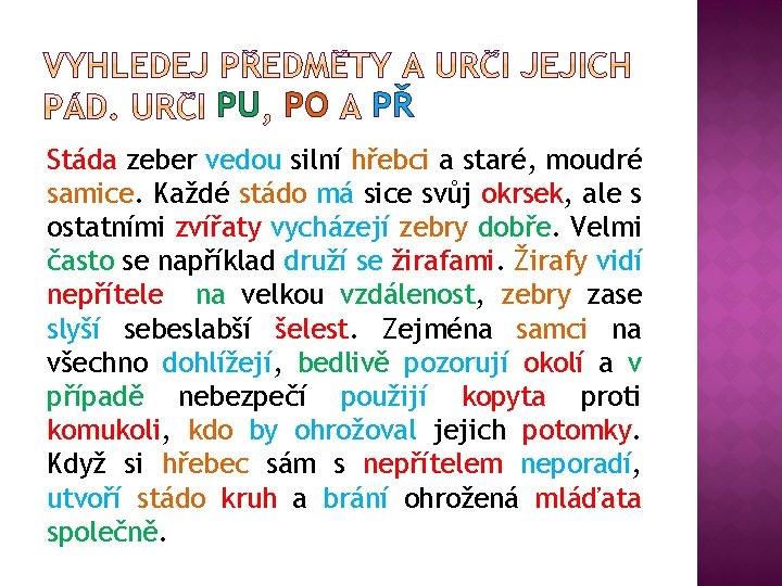 PU PO PŘ Stáda zeber vedou silní hřebci a staré, moudré samice. Každé stádo