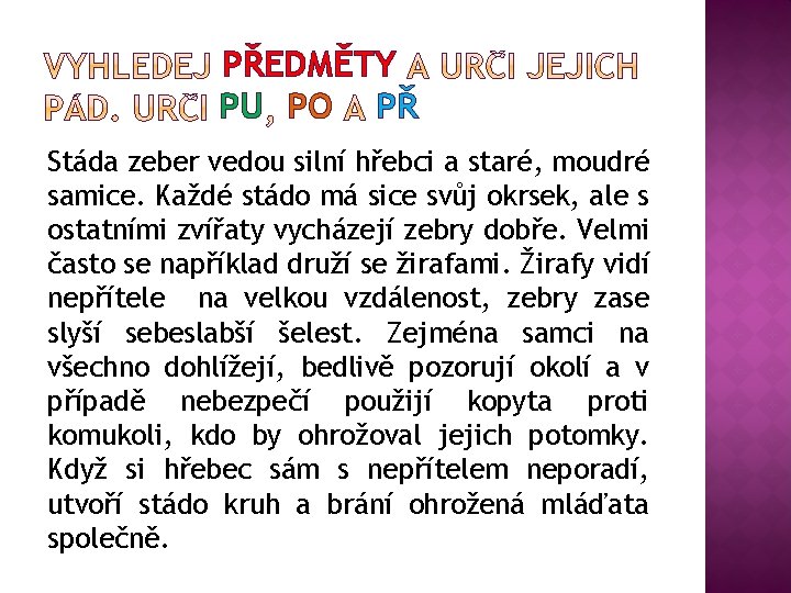 PŘEDMĚTY PU PO PŘ Stáda zeber vedou silní hřebci a staré, moudré samice. Každé