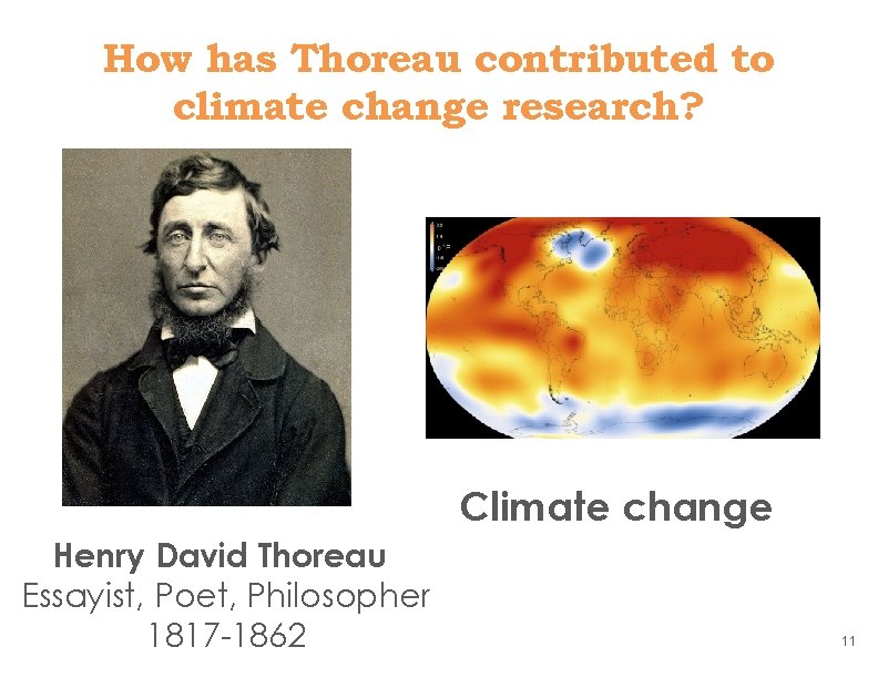 How has Thoreau contributed to climate change research? Climate change Henry David Thoreau Essayist,