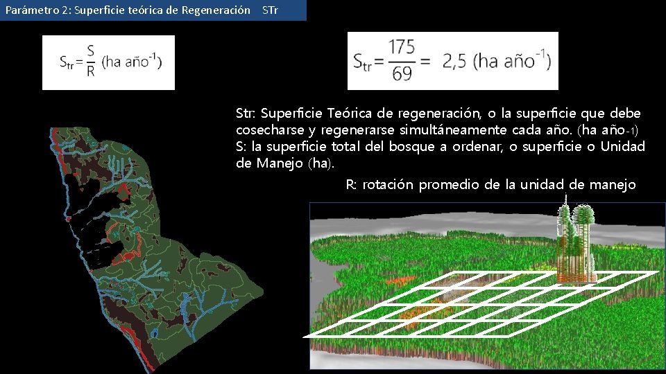 Parámetro 2: Superficie teórica de Regeneración STr Str: Superficie Teórica de regeneración, o la