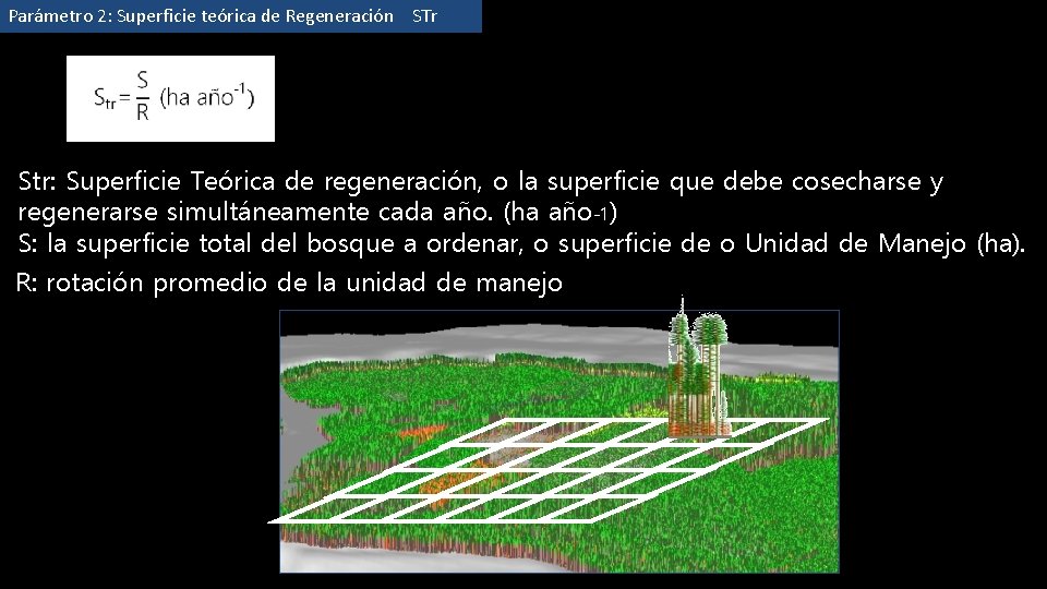 Parámetro 2: Superficie teórica de Regeneración STr Str: Superficie Teórica de regeneración, o la