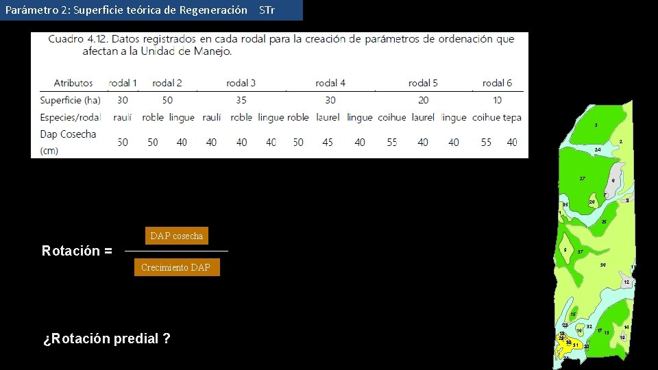 Parámetro 2: Superficie teórica de Regeneración STr 3 2 24 27 6 7 8
