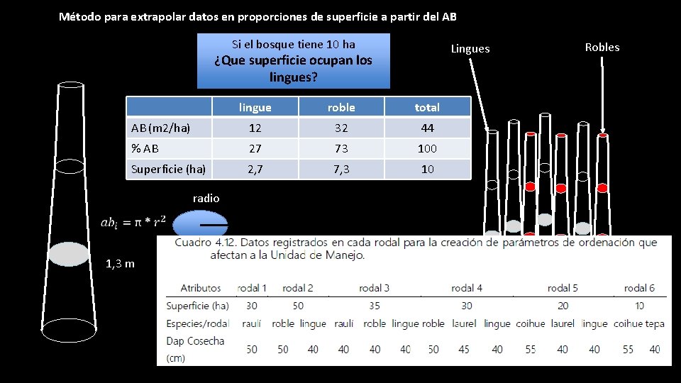 Método para extrapolar datos en proporciones de superficie a partir del AB Si el