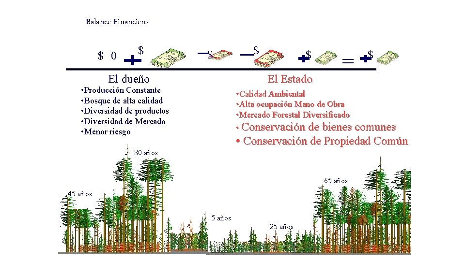 Balance Financiero $ 0 $ $ El dueño $ $ El Estado • Producción