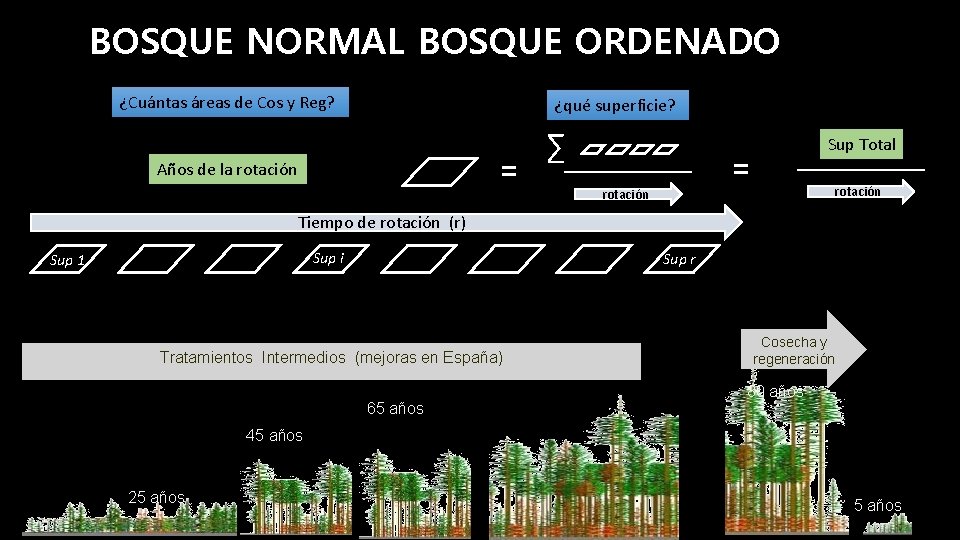 BOSQUE NORMAL BOSQUE ORDENADO ¿Cuántas áreas de Cos y Reg? ¿qué superficie? = Años