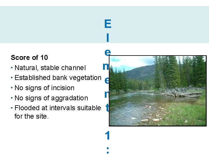 E l e Score of 10 m • Natural, stable channel • Established bank