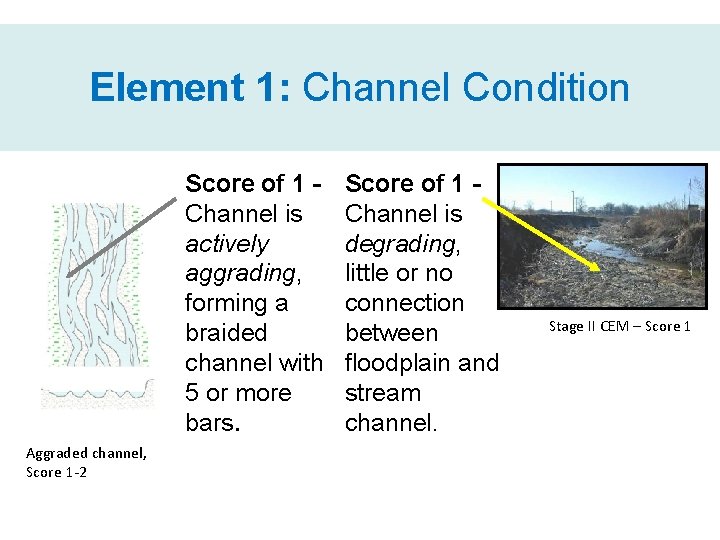 Element 1: Channel Condition Score of 1 Channel is actively aggrading, forming a braided
