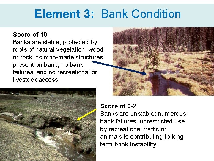 Element 3: Bank Condition Score of 10 Banks are stable; protected by roots of