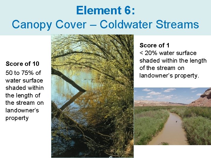 Element 6: Canopy Cover – Coldwater Streams Score of 10 50 to 75% of
