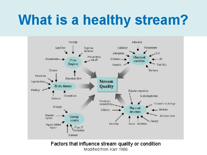 What is a healthy stream? Factors that influence stream quality or condition Modified from