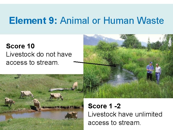 Element 9: Animal or Human Waste Score 10 Livestock do not have access to