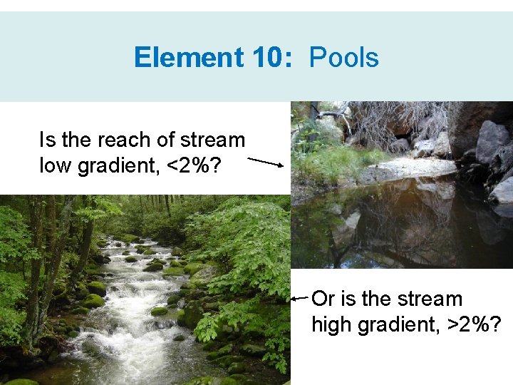Element 10: Pools Is the reach of stream low gradient, <2%? Or is the