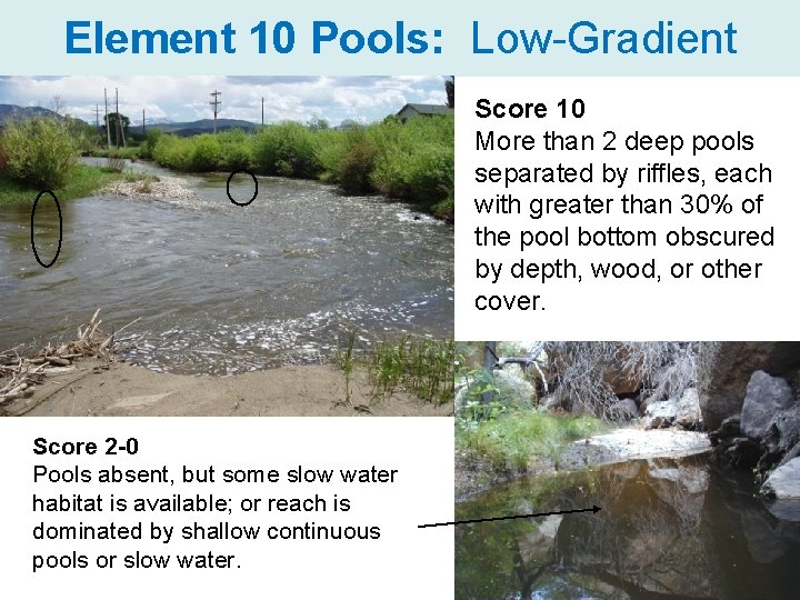 Element 10 Pools: Low-Gradient Score 10 More than 2 deep pools separated by riffles,