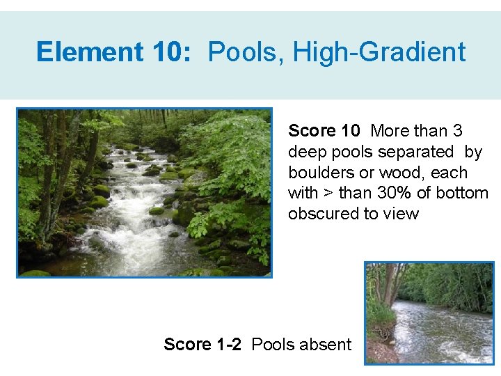 Element 10: Pools, High-Gradient Score 10 More than 3 deep pools separated by boulders