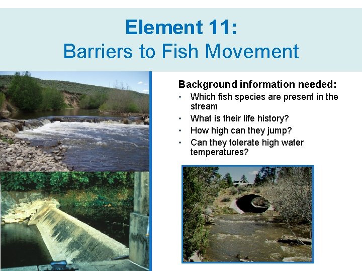 Element 11: Barriers to Fish Movement Background information needed: • • Which fish species