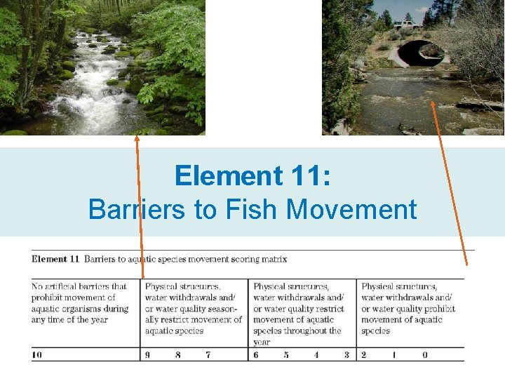 Element 11: Barriers to Fish Movement 