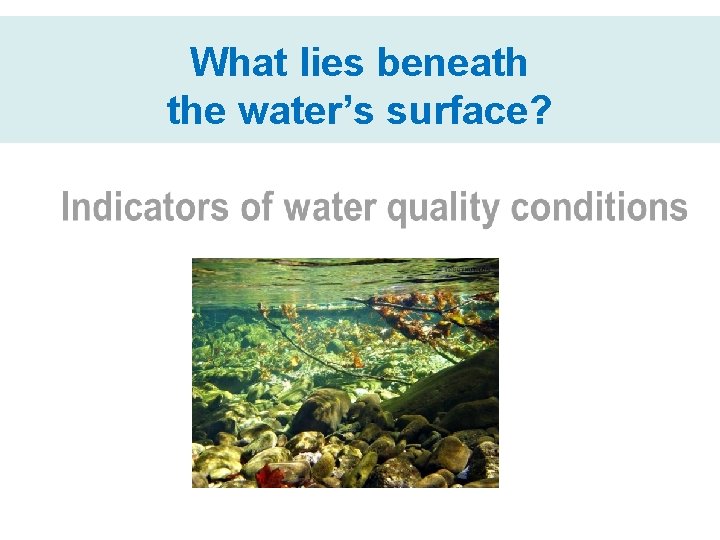 What lies beneath the water’s surface? 