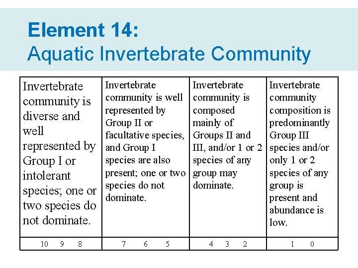 Element 14: Aquatic Invertebrate Community Invertebrate community is diverse and well represented by Group