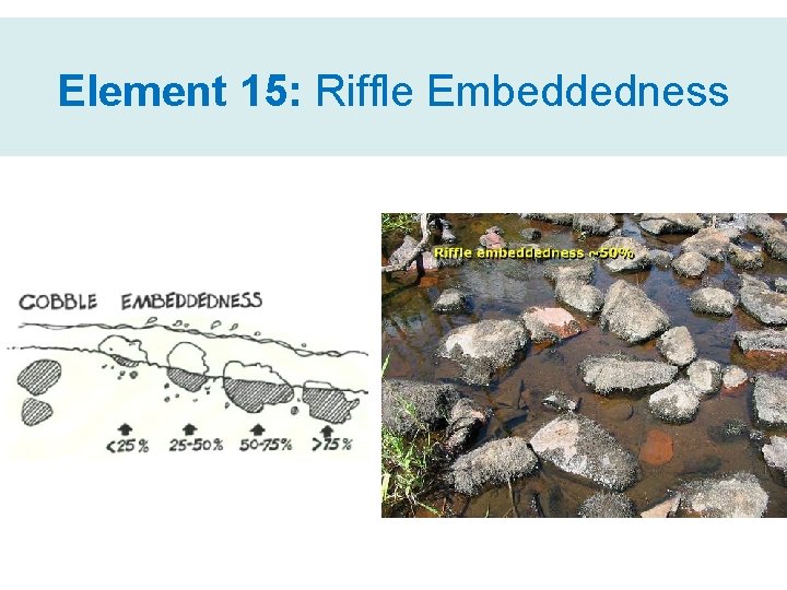 Element 15: Riffle Embeddedness 