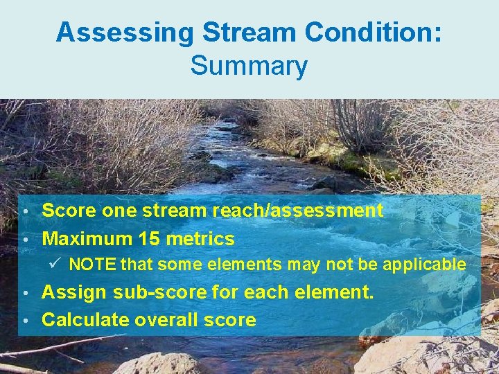 Assessing Stream Condition: Summary Score one stream reach/assessment • Maximum 15 metrics • ü