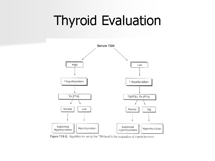 Thyroid Evaluation 