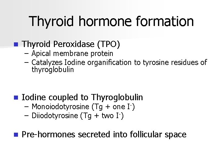Thyroid hormone formation n Thyroid Peroxidase (TPO) n Iodine coupled to Thyroglobulin n Pre-hormones