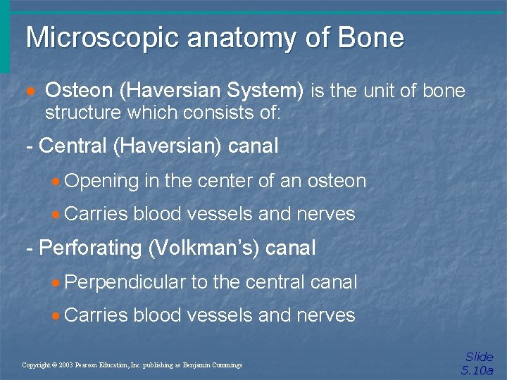 Microscopic anatomy of Bone · Osteon (Haversian System) is the unit of bone structure